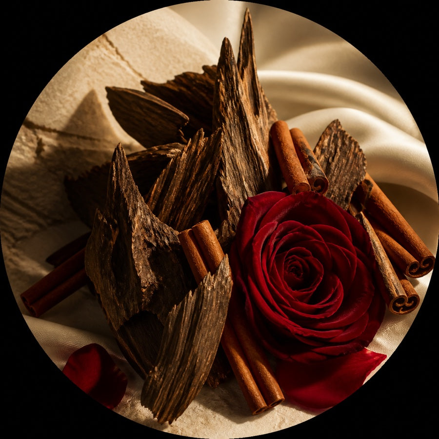 Risha - TIGER EYE ROUGE — Notes de cœur